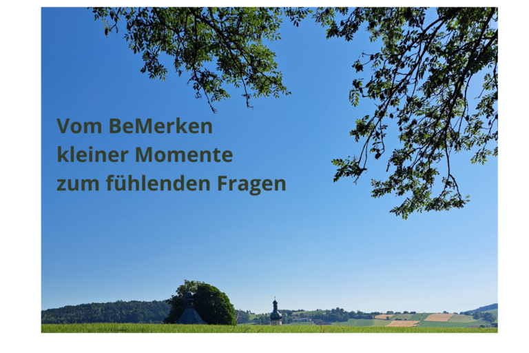 Blick über ein grünes Feld unter weitem blauem Himmel, eingerahmt von Baumzweigen.